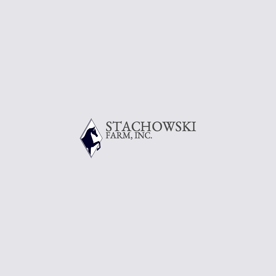 stachowski-farm-inc-arabian-horse-show-training-and-and-breeding-barn
