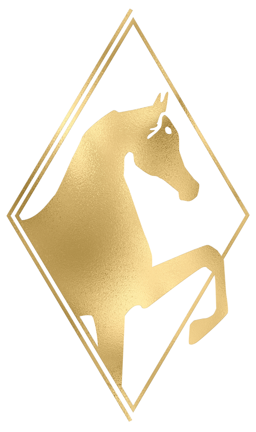 Stachowski logo
