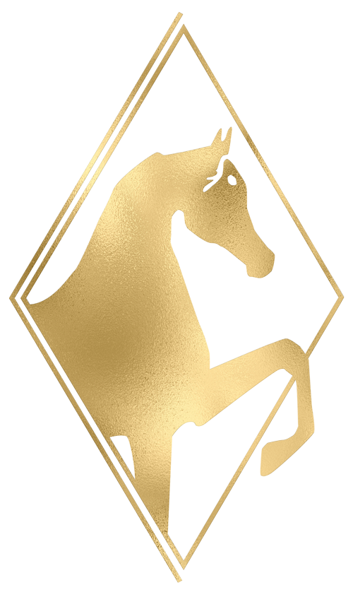 Stachowski logo